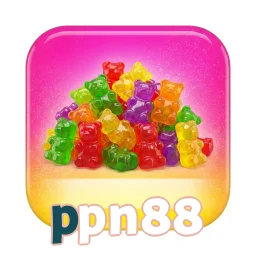 ppn88